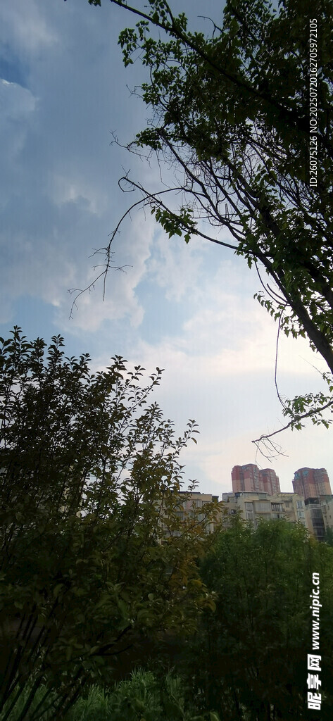 城郊绿植间的城市天际线