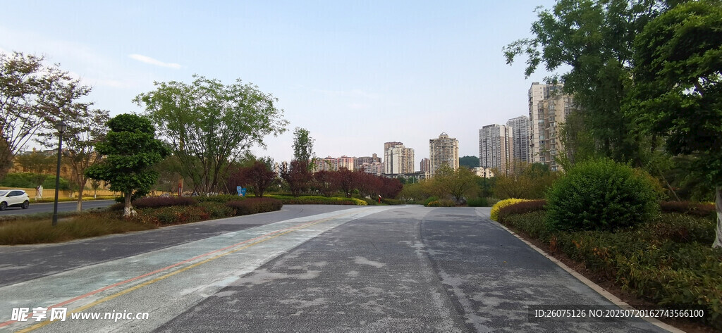 远处延伸的公路与两旁的绿植
