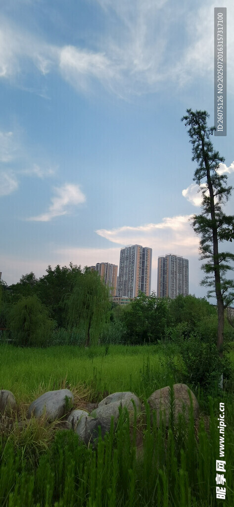 郊外自然风景与远处高楼