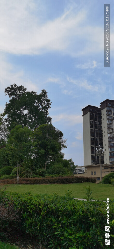 公园里的草地绿植与远处建筑