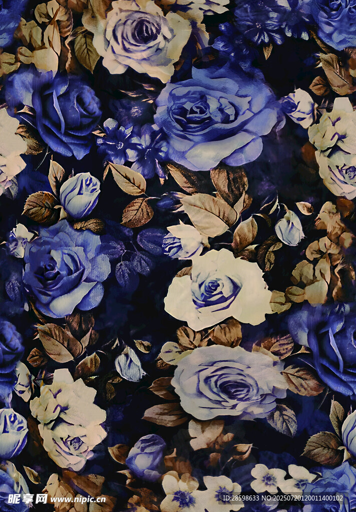 玫瑰花