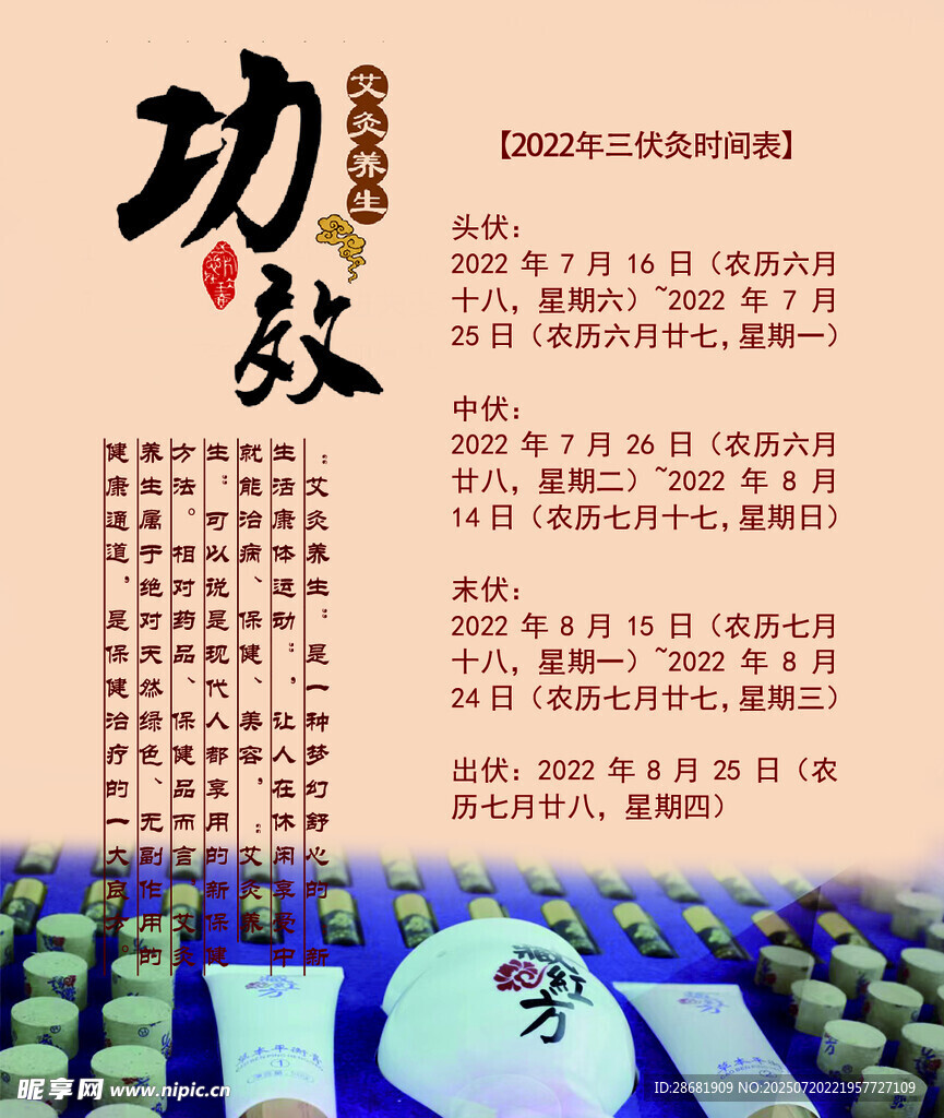 中医功效介绍与中药展示