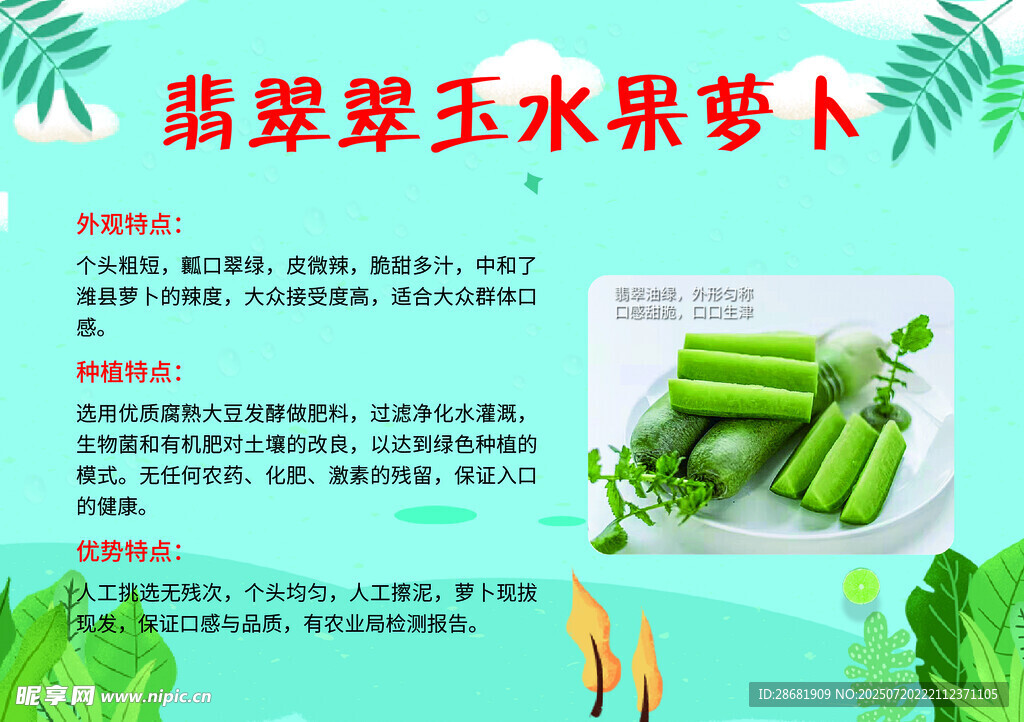 翡翠水果萝卜 清甜多汁