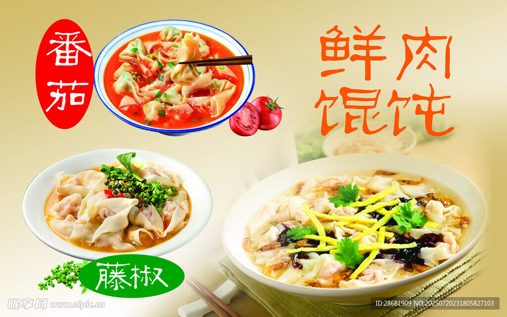 美味鲜肉馄饨诱人呈现