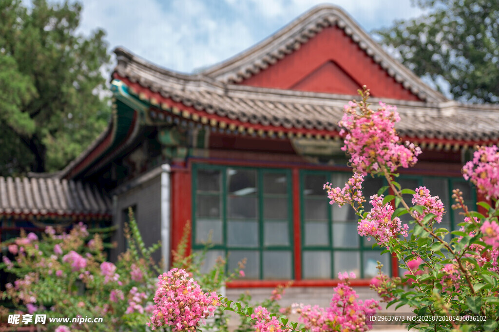 中式古建旁绽放的艳丽繁花
