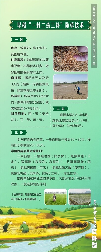 早稻观摩现场会易拉宝