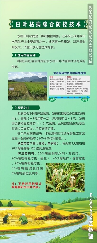 早稻观摩现场会易拉宝