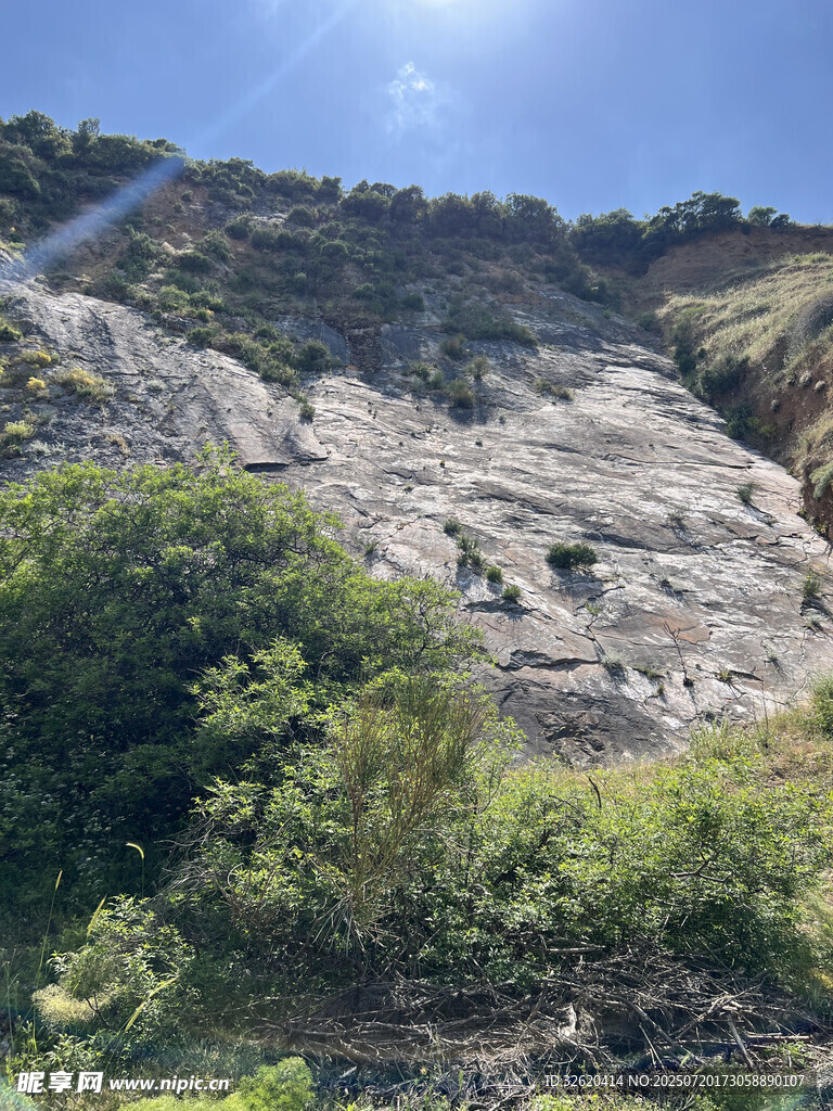 陡峭山崖旁的葱郁植被