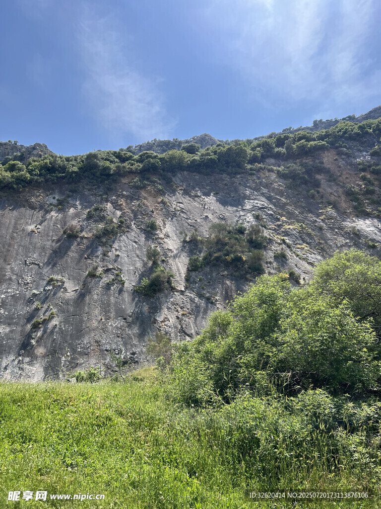 山坡绿植与岩石景观