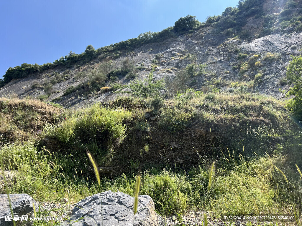 山坡绿植与岩石景观