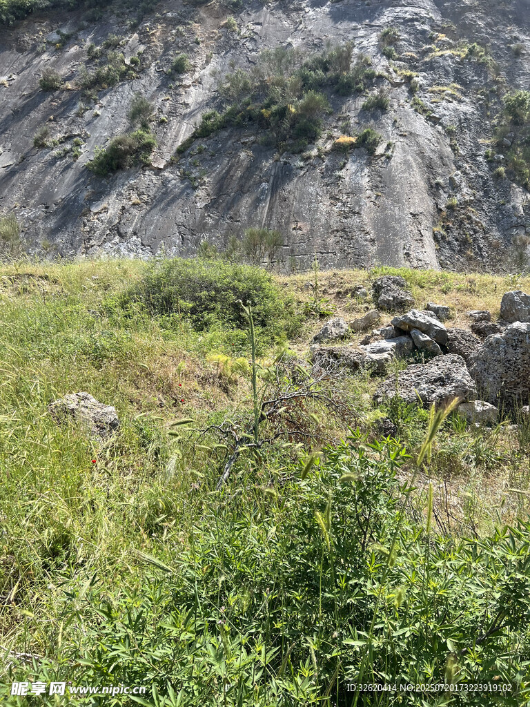 山间草地与岩石景观