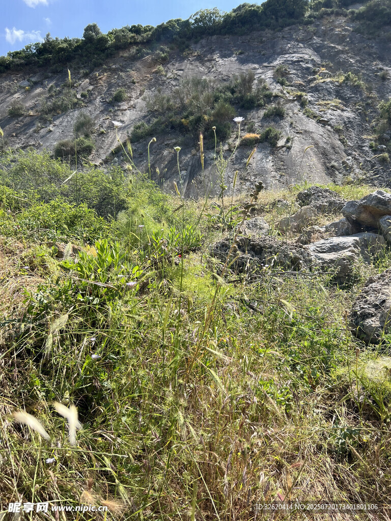 山坡绿植与岩石景观