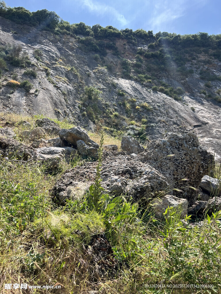 山间岩石与繁茂绿植景观
