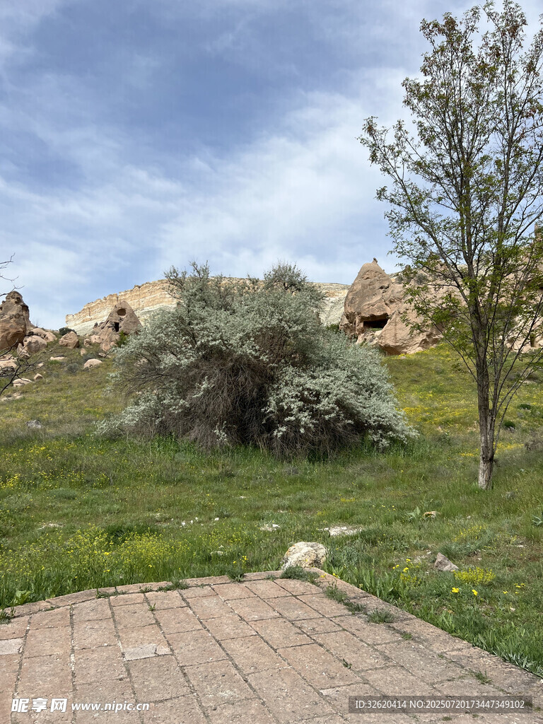 户外草地旁的砖石小径风景