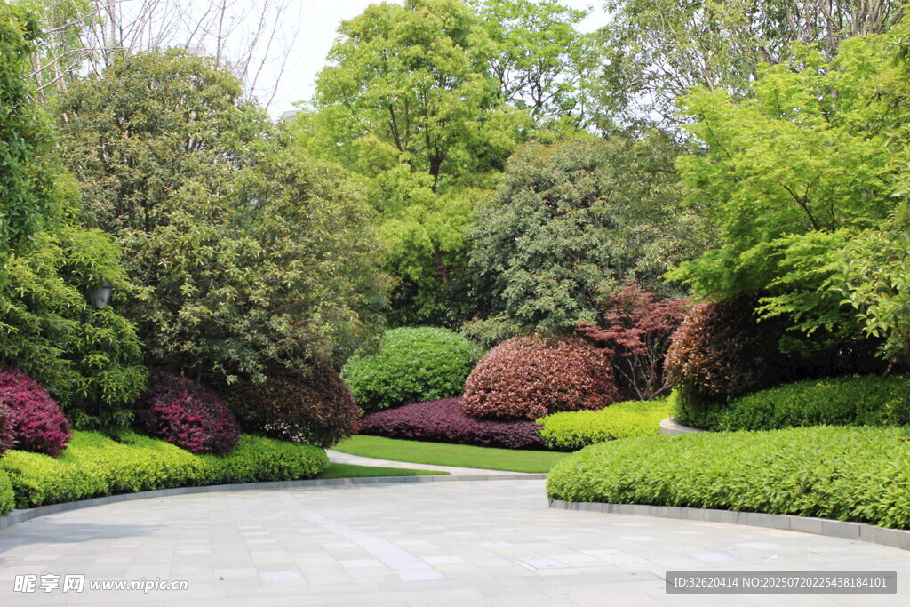 园林景观中的绿植美景