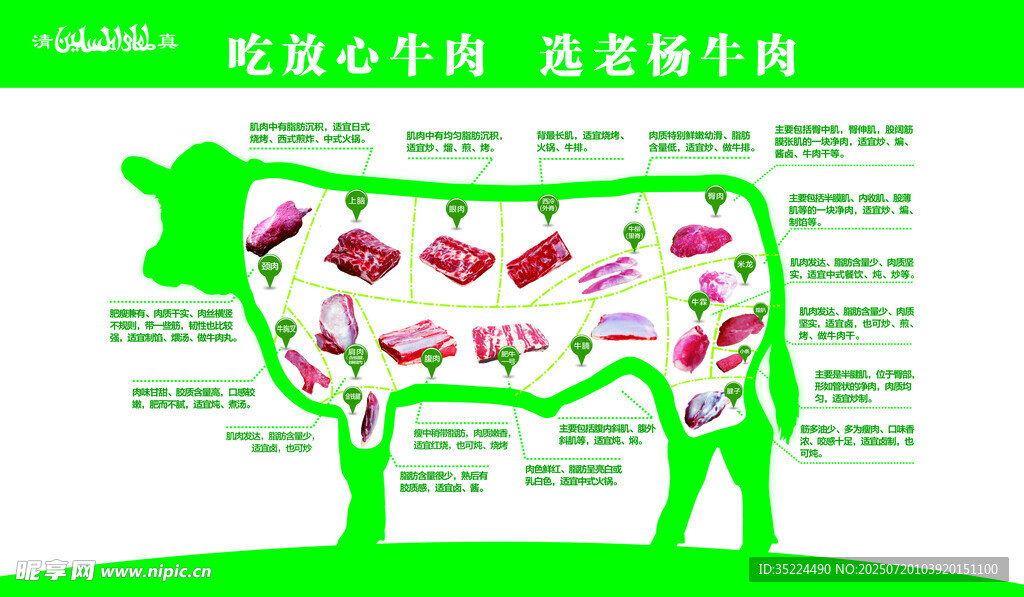 牛肉部位展示与营养介绍