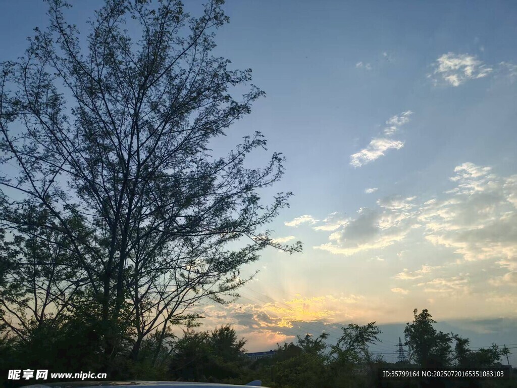 夕阳下的树木与天空美景