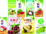 多样水果灯箱