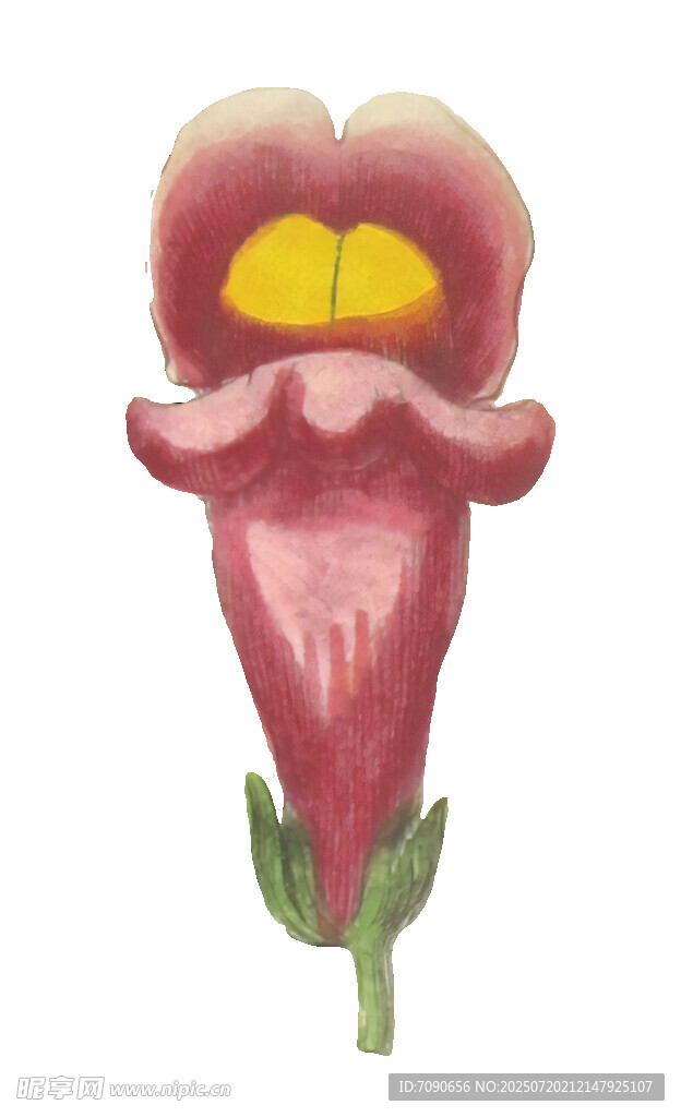 粉色奇特花朵插画