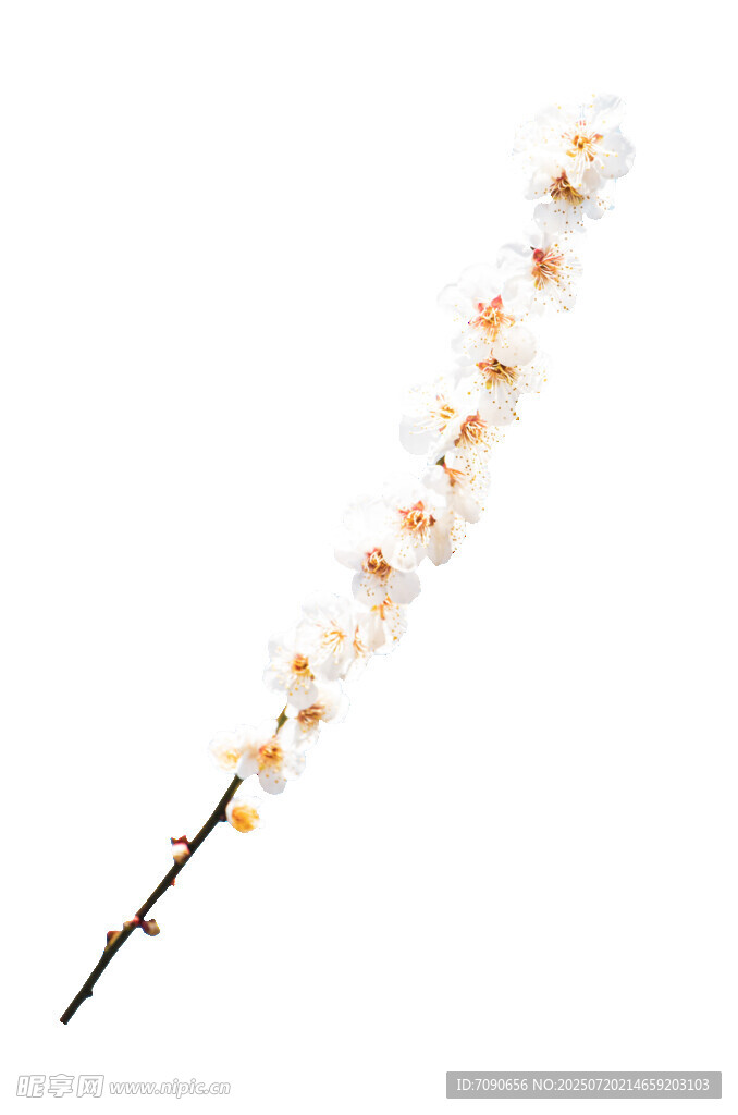 白色花枝饰品
