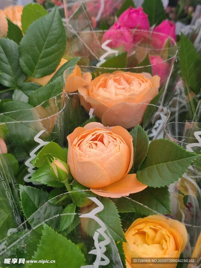 橙色玫瑰与绿叶花卉组合