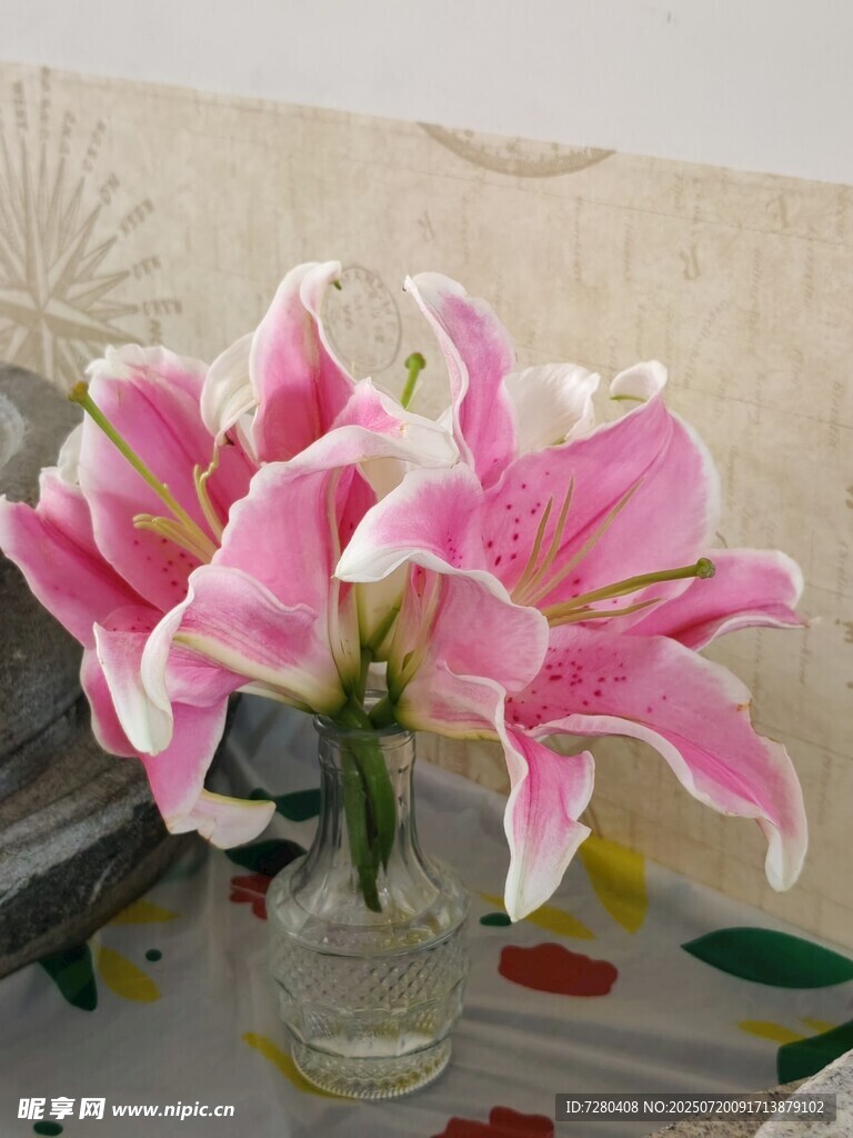 粉色百合花插于透明花瓶