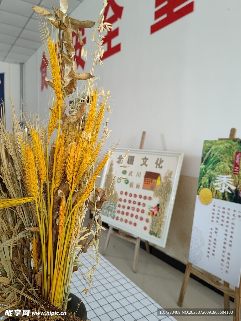 室内展示的金黄麦穗装饰