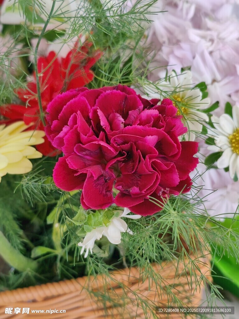 花篮中的多彩花卉