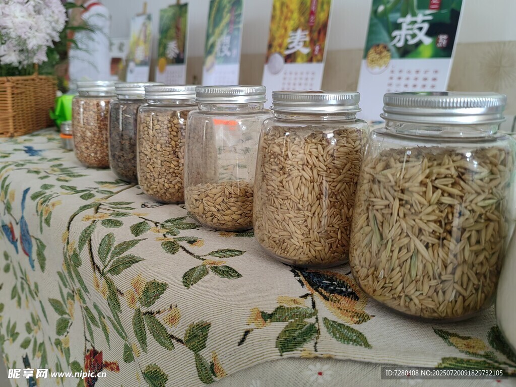 多样谷物干货陈列展示