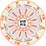 时辰养生图