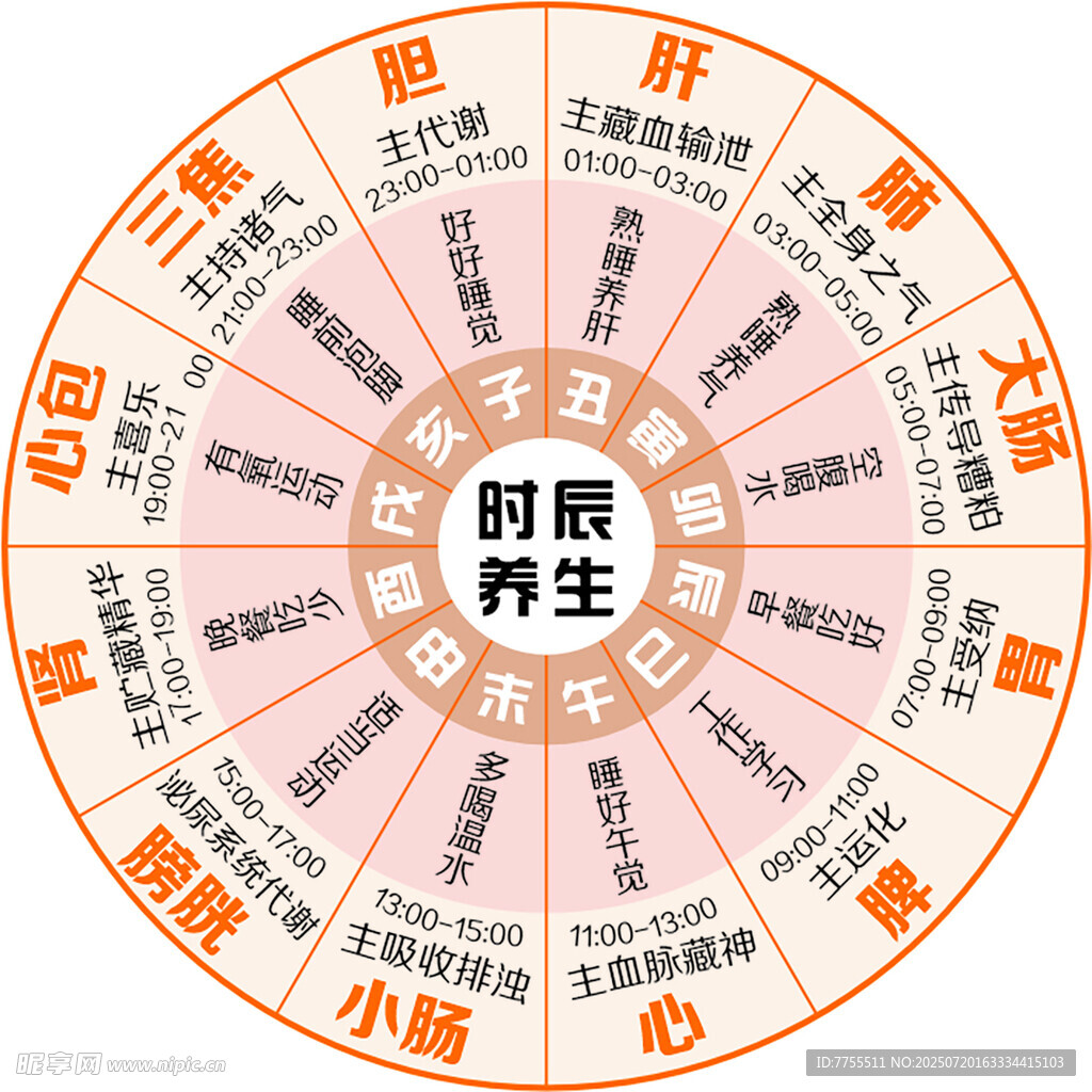 时辰养生图