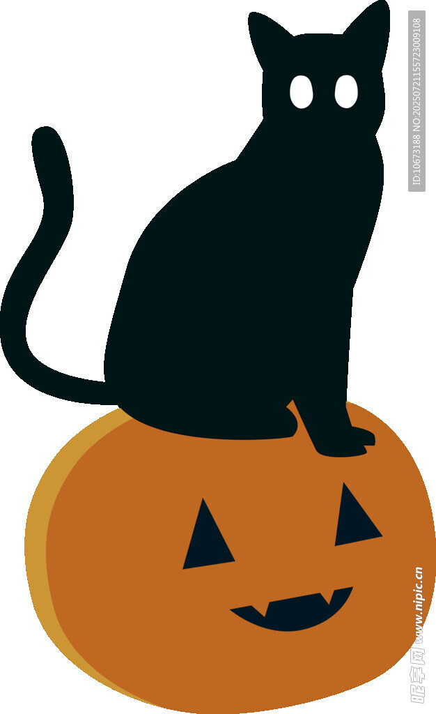 黑猫坐南瓜