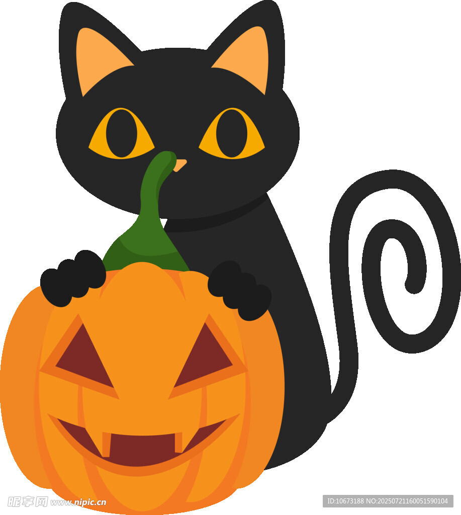 黑猫与南瓜的可爱组合