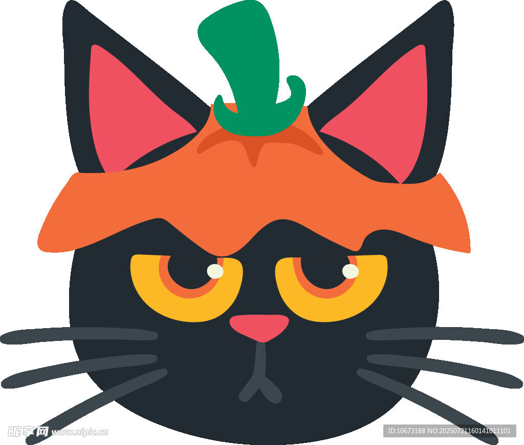戴南瓜帽的黑猫