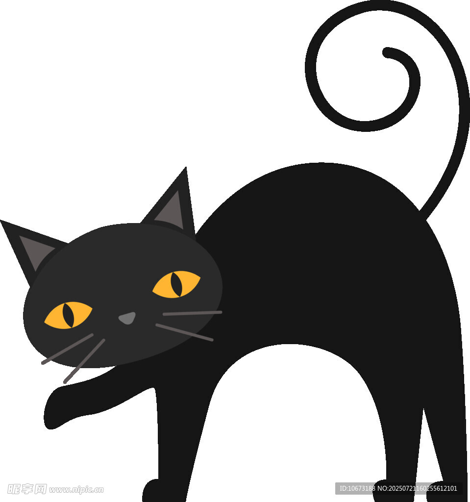 黑猫摆出俏皮姿态