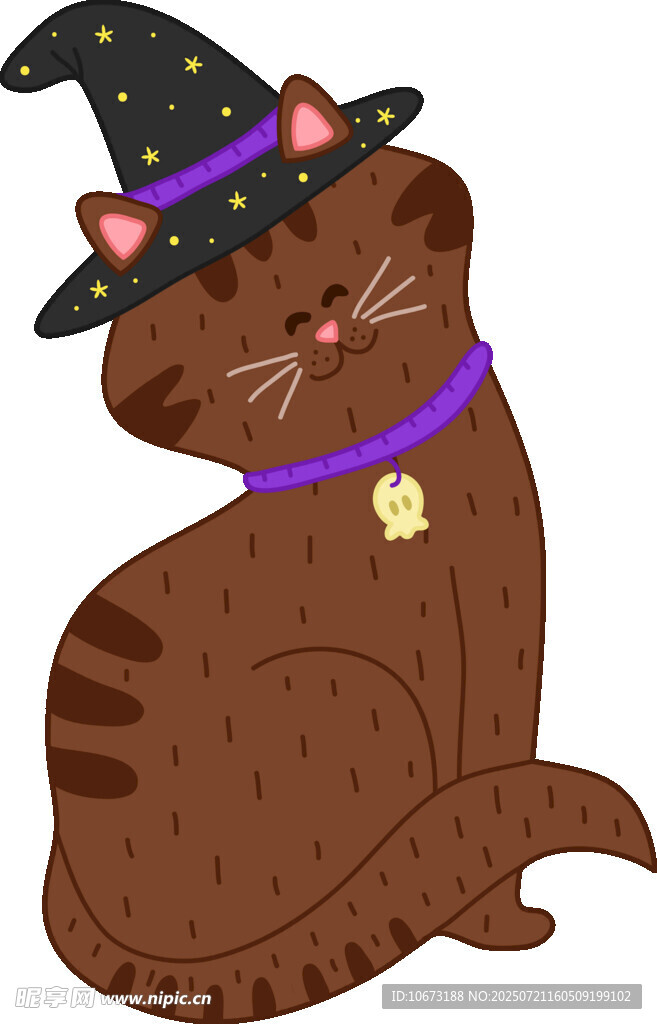 戴巫师帽的可爱猫咪