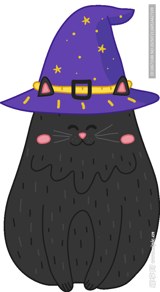 戴魔法帽的可爱黑猫