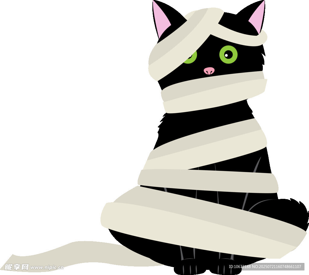 绷带装扮的可爱猫咪