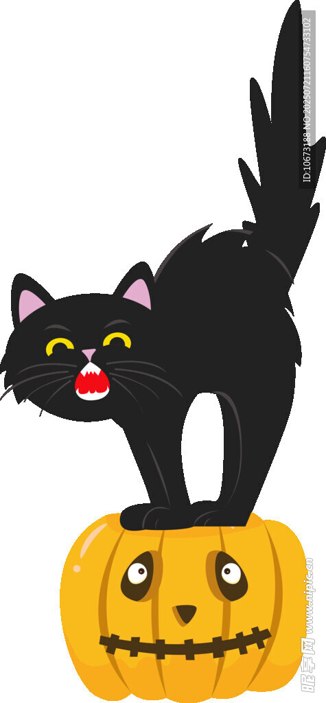 黑猫立于南瓜灯上