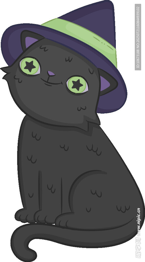 戴巫师帽的黑猫