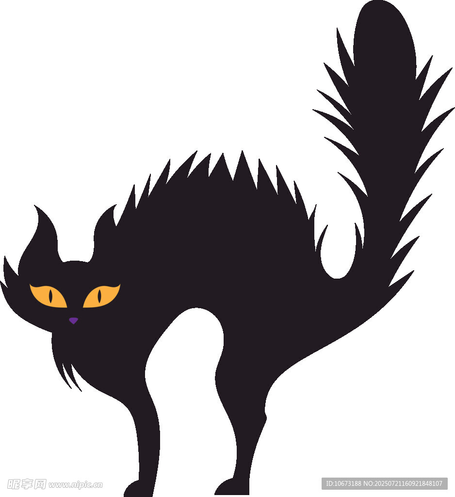黑猫剪影