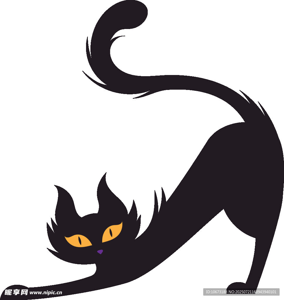 黑猫伸展身姿
