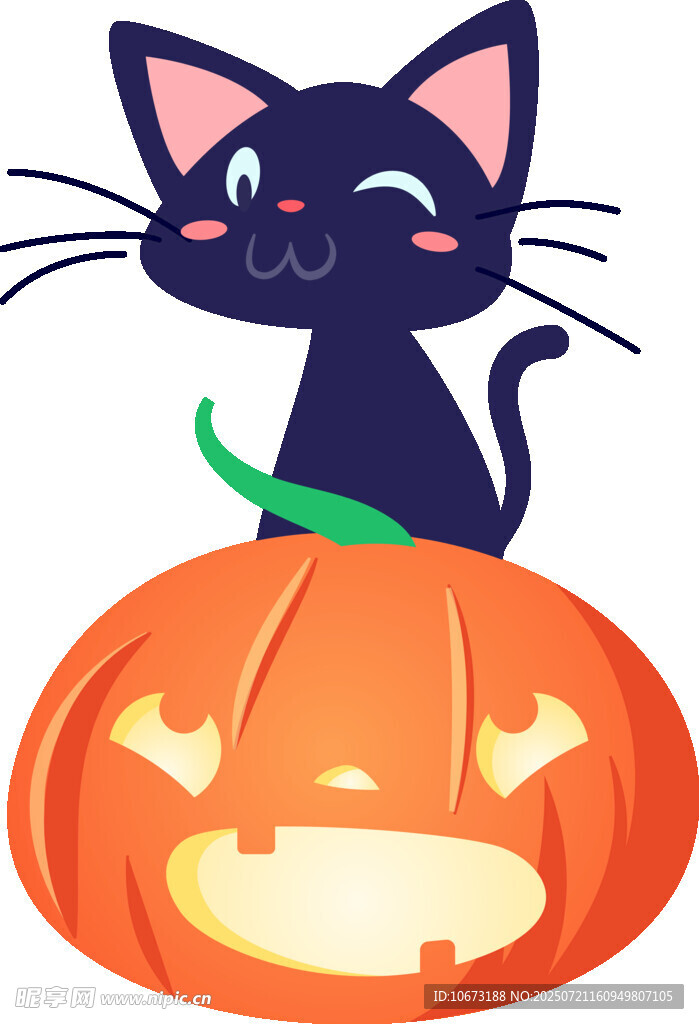 黑猫坐南瓜