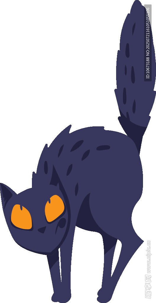 神秘黑猫