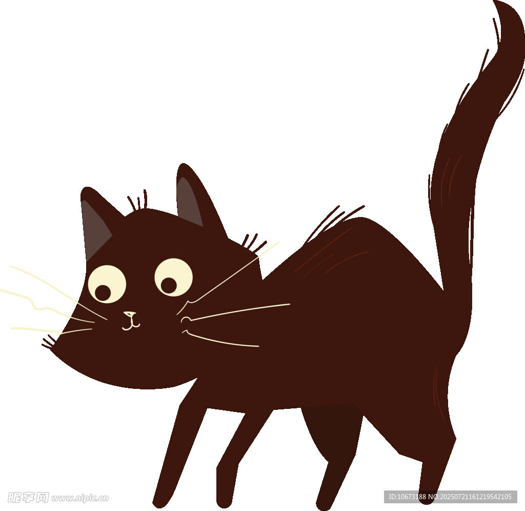黑猫受惊的可爱瞬间