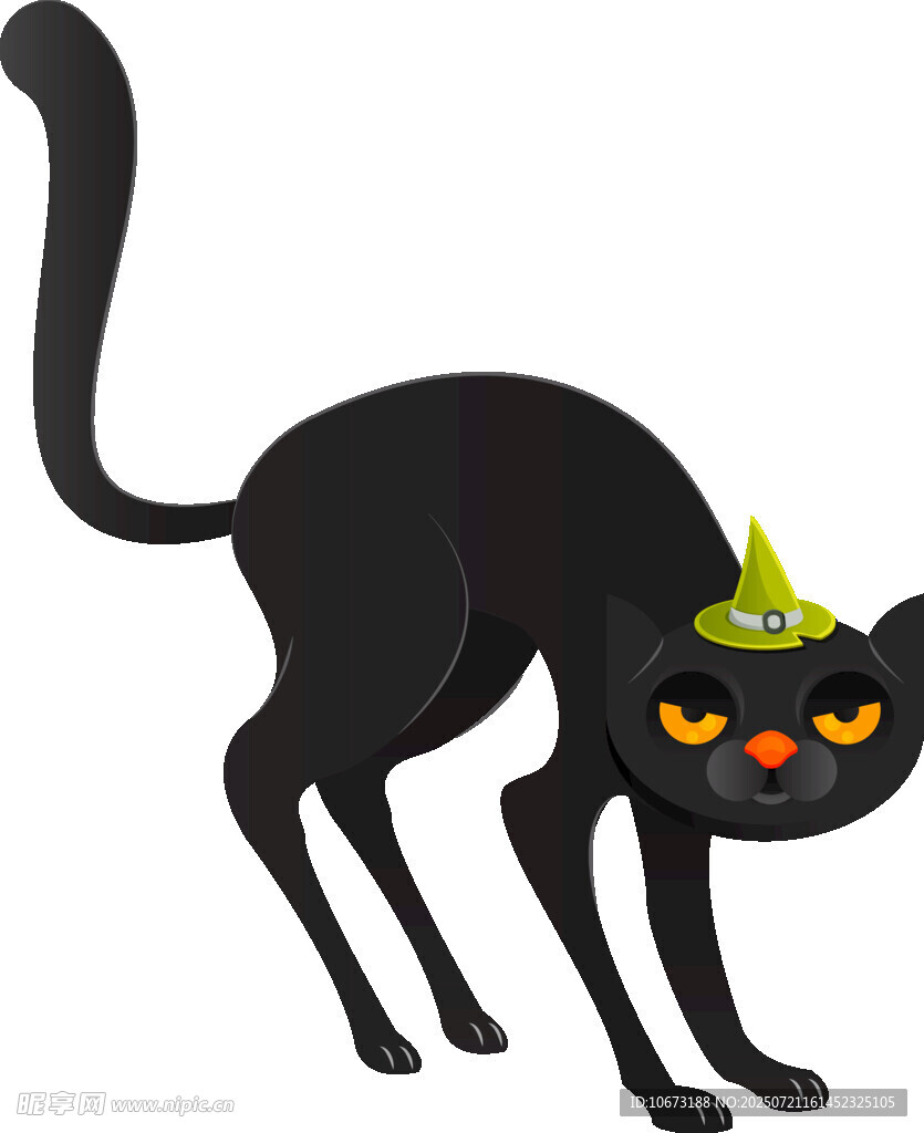 戴帽黑猫姿态俏皮
