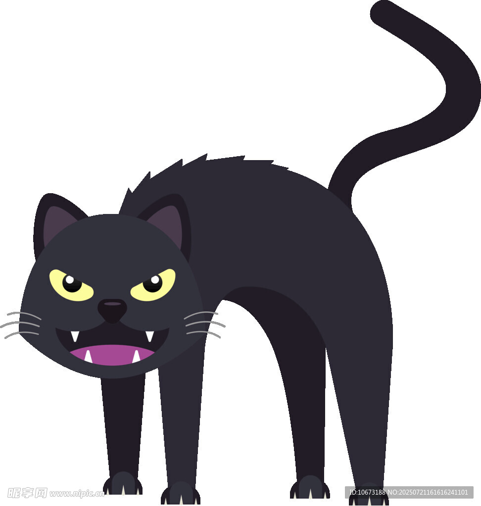 发怒的黑猫