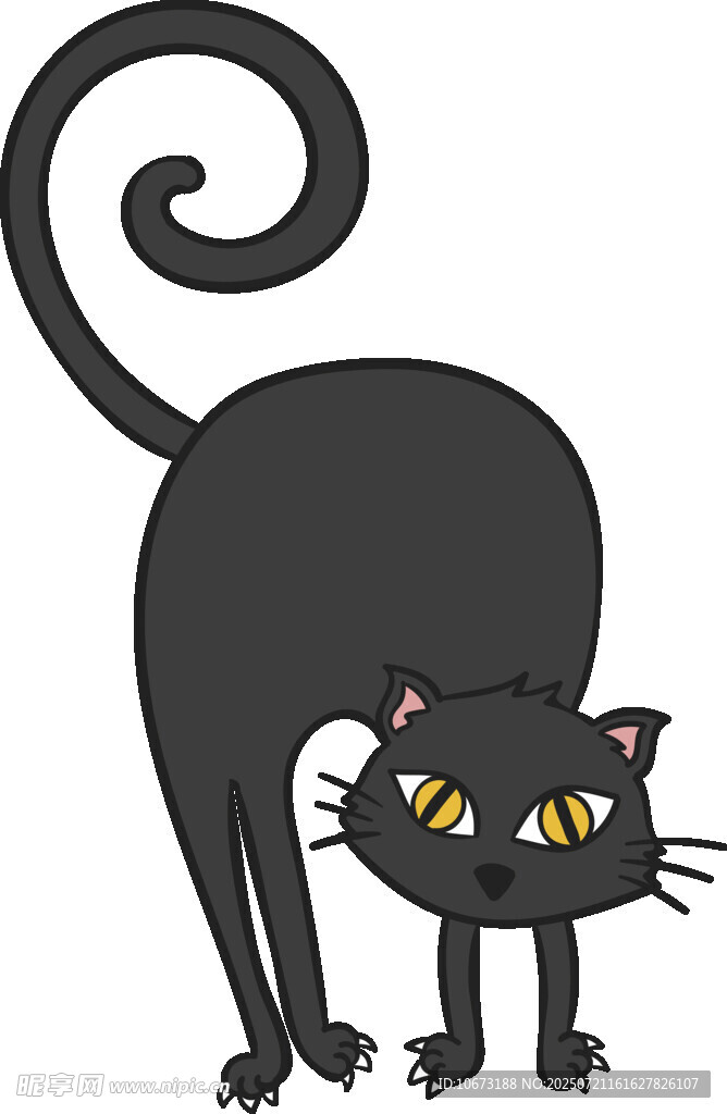 黑猫弓背姿态图