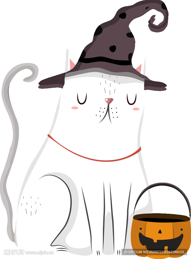 戴巫师帽的猫咪与南瓜灯
