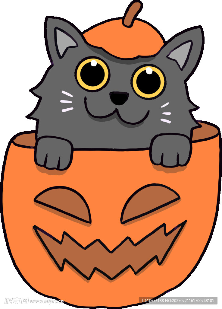 南瓜里的可爱猫咪